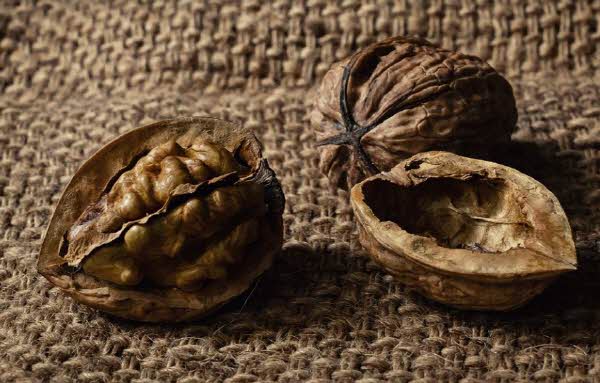 Read more about the article 스포츠 영양의 역할과 운동의 능력 향상