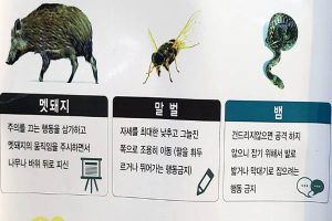 Read more about the article 반드시 알아야 할 멧돼지, 말벌, 뱀, 진드기 대처법