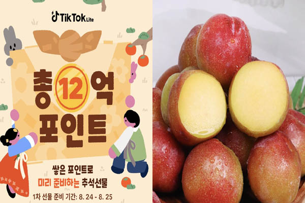 You are currently viewing 캐시워크, 틱톡 라이트 추석선물 12억 포인트, 새콤달콤 추희자두