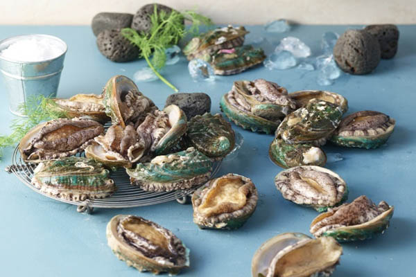 You are currently viewing 완도 바다 완도산 전복 , 전복 크기와 보관법 요리법 소개