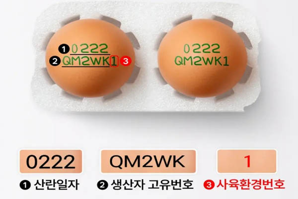 You are currently viewing 무항생제 유정란 난각번호 1번 자연방사, 대한민국 상위 1% 달걀