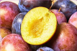 Read more about the article 가을에만 나오는 보라자두 생푸룬, 푸룬자두