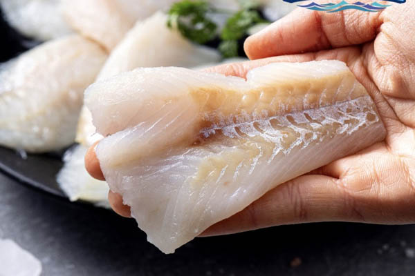 Read more about the article 9월 9일 캐시워크, 소휘 펌킨샷 V라인 시카수분크림 캐시딜 추석특가 명태포 아리아나 석류진액