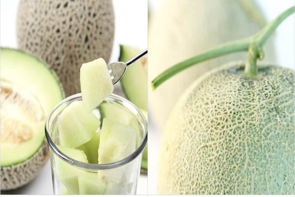 Read more about the article 머스크 메론, 고당도 맛있고 달콤, 메론아이스크림 메론주스